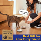 4-Pack 304 Stainless Steel Cat Food Bowls, Non-Slip Basic Dishes | Shallow Whisker-Friendly Silicone Water Metal Bowls, Easy to Clean Indoor Flat Plates for Cat, Kitten, Small Dog (5.9")