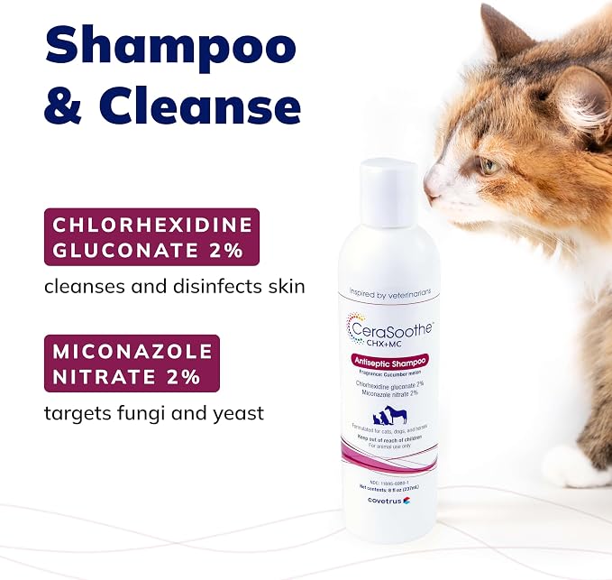 CeraSoothe® CHX+MC Antiseptic Shampoo for Dogs, Cats & Horses – Skin Cleansing with Chlorhexidine & Miconazole 8 oz