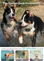 Dog Training Collar with Remote - Large Dog Shock Collar, 3 Pack | 2600 ft Range, IP65 Waterproof, Flashlight, Beep Vibe Adjustable Static Modes for Recall Guide, Train Sit, Bad Dog Behaviors