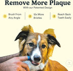 Jasper Dog Toothbrush, 360° Finger Toothbrush for Dogs & Cats, Pink 2-Pack | 12x More Bristles, Teeth Cleaning Kit for Small & Large Pets, Toothpaste Not Included, Fights Bad Breath, Extra Soft Silicone