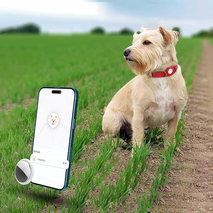 AirTag Dog Collar - Genuine Leather Dog Collar with Apple AirTag Holder and Metal Buckle - Smart GPS Tracking Pet Collars (Red, XS, 9"-12" Neck Fit)