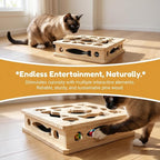 Cat Puzzle Toy,Cat Scratch Puzzle Enrichment Box,Cat Nail File Scratcher,Porous Design,Stimulate Cats Exploratory &Slow Down Eat Speed,Built in Frosted Paper,Polish Their Nail While Play