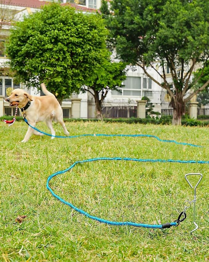 Joytale Long Dog Leash for Yard Tie Out & Recall Training, Blue, 15FT | Secure Locking Carabiner, Removable Padded Handle, Reflective Webbing for Night Safety, Ideal for Outdoor Play and Camping