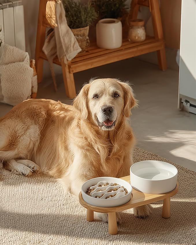 Ceramic Slow Feeder and Water Bowl Set for Medium and Large Dogs, 2.0 Cups Dog Slow Feeder(30oz) and 70oz Water Bowl Set, 8in, White
