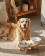 Ceramic Slow Feeder and Water Bowl Set for Medium and Large Dogs, 2.0 Cups Dog Slow Feeder(30oz) and 70oz Water Bowl Set, 8in, White