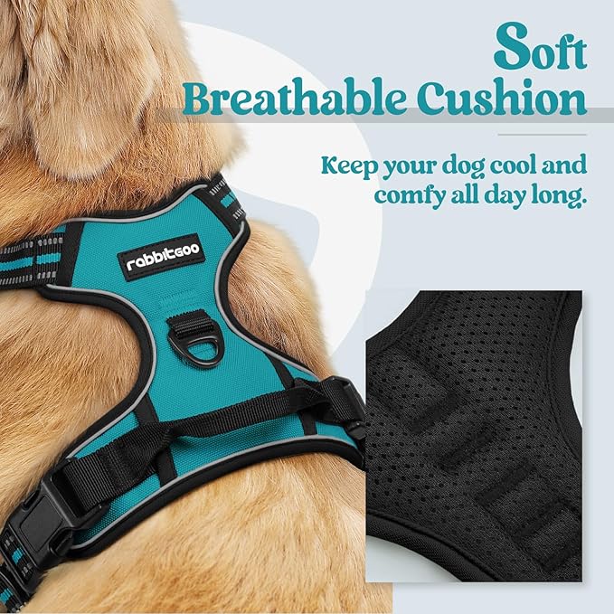 rabbitgoo Dog Harness, No Pull for Large Dogs with 2 Leash Clips, Pet Vest | No Choke, Adjustable, Breathable Padded, 2 Lead Rings, Reflective, Easy Control for Walking Training, XL, Teal