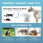 Necoichi Ceramic Elevated Cat Food Bowl, 15° Tilted (Cat, Regular Tilted)