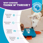 Outward Hound by Nina Ottosson Dog Casino Treat Puzzle Enrichment Toy, Level 3 Advanced, Turquoise