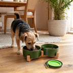 Petygooing Ceramic Dog Cat Bowl Set with Stand, Pet Food and Water Dishes,Medium Pet Bowl Anti -Slip Set of 2 Cat Dish-Pet Food Bowls Small Medium Size Dog (28OZ/6.1 in) Rust Green