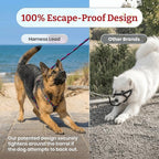 Harness Lead No Pull Dog Harness and Leash Set, Anti Pull Dog Harness, One-Piece Cushioned Rope Safely Prevents Escaping and Pulling (Small/Medium, Pink/Purple)