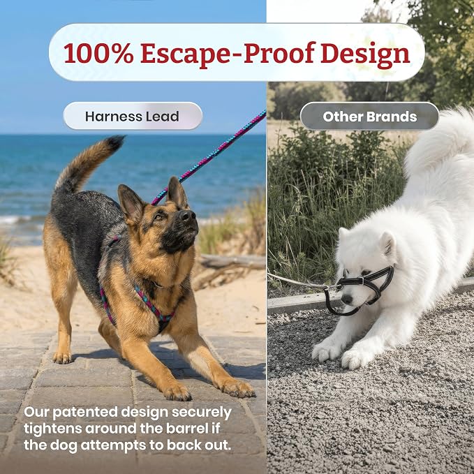 Harness Lead No Pull Dog Harness and Leash Set, Anti Pull Dog Harness, One-Piece Cushioned Rope Safely Prevents Escaping and Pulling (Extra Large, Black Reflective)