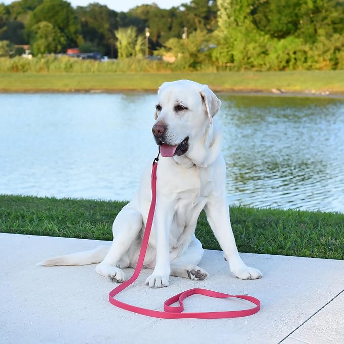 Dogline Biothane Waterproof 6ft Dog Leash Strong Coated Nylon Webbing with Black Hardware Odor-Proof Easy to Clean High Performance for Small or Large Dogs Made in USA 6ft Lead, Passionfruit Pink