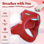 rabbitgoo Dog Harness Small Sized and Leash Set, Step-in Puppy Pet Vest | Light, Soft, Breathable Air Mesh, Easy on and Remove with Hook & Loop, Secure Reflective for Walking, Red XXXS