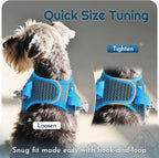 Eagloo Small Dog Harness and Leash Set, Step in Small Sized Puppy Pet Vest | Light, Soft, Breathable Air Mesh, Easy on and off with Hook & Loop, Reflective for Safe Walking, Blue, XS