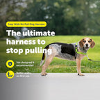PetSafe Easy Walk Harness for Dogs - Pull-Free Walks - Patented Martingale Loop Design - Front Chest Leash Attachment - Comfort Straps - Breathable Harness Design - Small/Medium, Apple Green/Gray