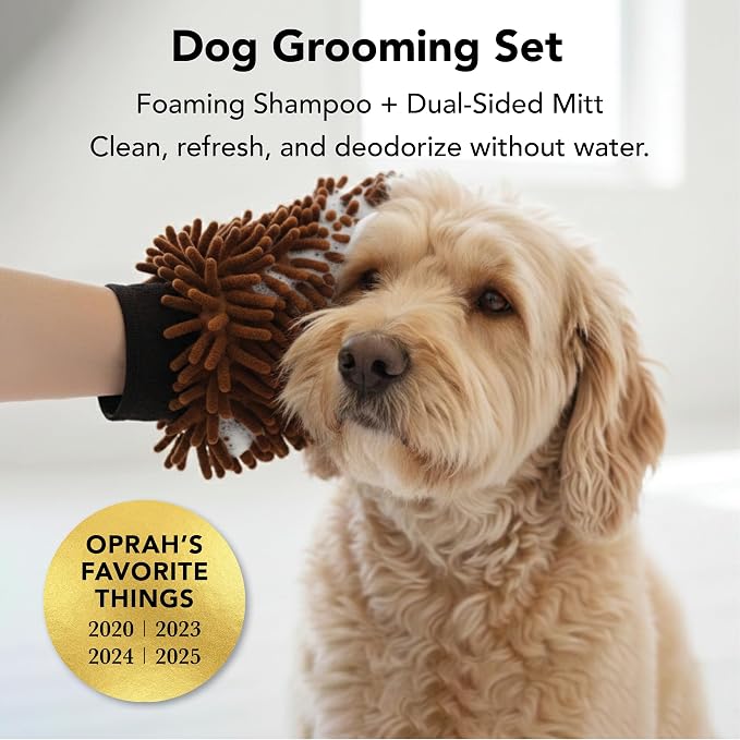 Pride and Groom THE MITT KIT: A Waterless Bath for Dogs - Foaming Dry Shampoo and a Pet Sensitive Glove for a Rinse Free Cleanse and to Eliminate Odor