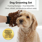 Pride and Groom THE MITT KIT: A Waterless Bath for Dogs - Foaming Dry Shampoo and a Pet Sensitive Glove for a Rinse Free Cleanse and to Eliminate Odor