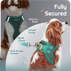Eagloo Small Dog Harness and Leash Set, Step in Small Sized Puppy Pet Vest | Light, Soft, Breathable Air Mesh, Easy on and off with Hook & Loop, Reflective for Safe Walking, Forest Green, XS