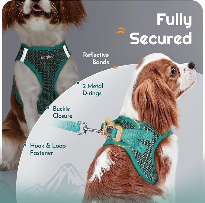 Eagloo Small Dog Harness and Leash Set, Step in Small Sized Puppy Pet Vest | Light, Soft, Breathable Air Mesh, Easy on and off with Hook & Loop, Reflective for Safe Walking, Forest Green, XS