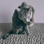 CatGuru Cat Litter Mat, Medium, Extra Large, XXL, Waterproof Litter Box Mat, Non Slip Kitty Litter Mat, Machine Washable Litter Trapping Mat, Soft Litter Tray, Cat Stuff (Medium, Grey/Standard)