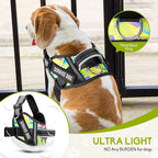 Service Dog Vest Harness and Leash Set, Animire in Training Dog Harness with 10 Dog Patches, Reflective Dog Leash with Soft Handle for Small, Medium, Large, and Extra-Large Dogs (Multi-Colored,S)