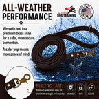 Gummy Dog Leash, Biothane, Dog Training Leash, Waterproof, Weatherproof, 6 Foot Length for Small, Medium & Large Dogs or Puppies, Various Sizes & Colors (3/4 Brown)
