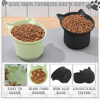 2 Pack Slow Feeder Cat Bowls, Silicone Tilted Raised Pet Bowl with Non Slip Base for Digestion Anti Vomit, Black, Green