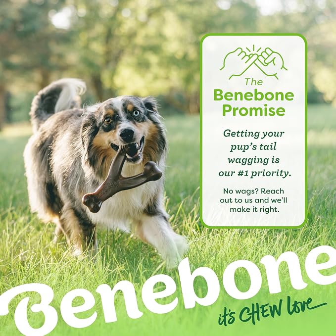 Benebone 3-Pack Wishbone Dog Chew Toy for Aggressive Chewers, Small