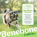 Benebone 3-Pack Wishbone Dog Chew Toy for Aggressive Chewers, Small