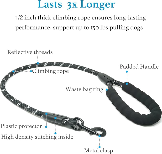 iYoShop Dual Dog Leash - 360° Swivel, No Tangle Walking Leash with Shock Absorbing Bungee for Two Dogs (Medium, 8-35 lbs, Black)