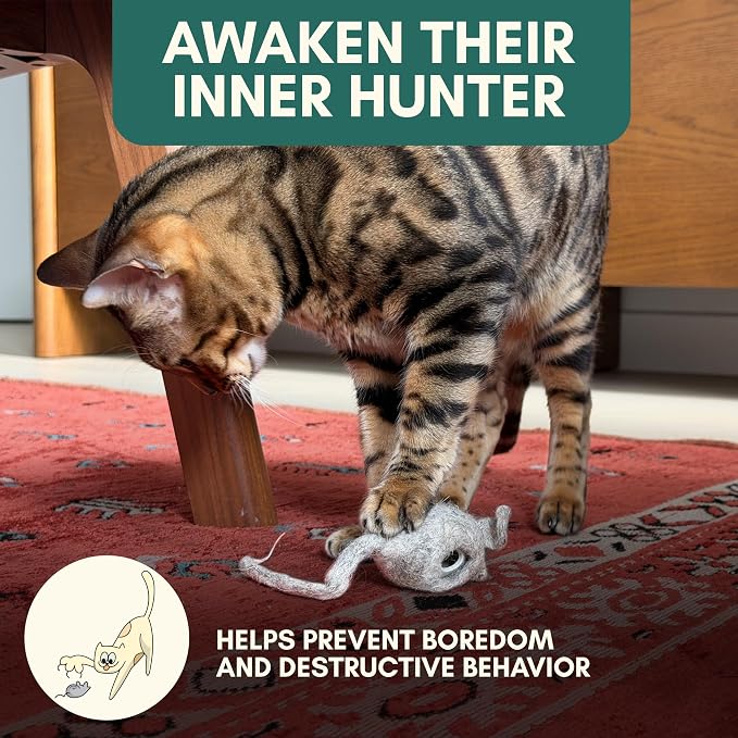 ALBERT & MIA Hunties™ Cat Treat Puzzle Dispenser Toy with 3 Wool Mice | Interactive slow feeder for kittens and indoor hunters, curbs overeating, boredom, natural hunting instinct enrichment play