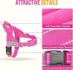 Lukovee No Pull Dog Harness and Leash Set - Adjustable Soft Padded Vest with Front Clip for Easy Control, Reflective Durable Harness for Safe Daily Training Walking for Medium Large Dogs (XL, FU)