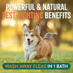 TropiClean Soothing Flea and Tick Shampoo for Dogs, Powerful & Natural Defense, for Large & Small Dogs, Made in USA, 20oz | Soothing Formula | Powerful & Natural Defense | For Large & Small Dogs | Made in USA