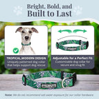 Lucky Love Dog Collar and Leash Set, Beautiful & Vivid Patterns, Easy On & Off Clasp Accessory (Blue Laguna, M Combo)