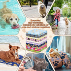 50 Pcs Dog Towels for Drying, 20"x40" Quick Drying Microfiber Pet Bath Towel, Dog Grooming Absorbent Towel with Cute Pattern, Soft Bathrobe for Large Medium Small Puppy Cat