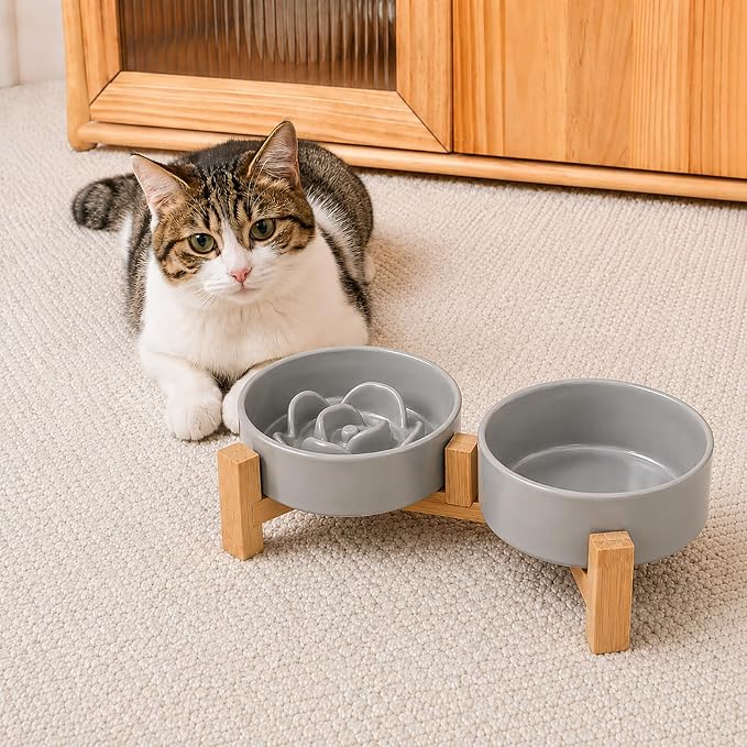 Ceramic Slow Feeder Dog Bowls with Raised Stand, 0.9 Cups Elevated Slow Feeding Bowl for Small Dogs and Cats, Non-Slip Pet Food Dish Helps Reduce Gulping and Bloating