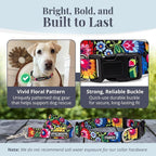 Lucky Love Dog - Easy Click Buckle Dog Collar with Leash Set Combo, Durable & Comfortable for Male & Female Dogs, Pet Collar for Small Dogs, Secure Fit - Blackbird Combo, Small