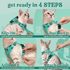 rabbitgoo Cat Harness and Leash Set, Escape Proof Vest, Cherry Grove | Soft Breathable Mesh, Easy Adjustable Fit, Snap Buckles, Sturdy Clip, Reflective Strips, for Medium to Large Cats Walks, M