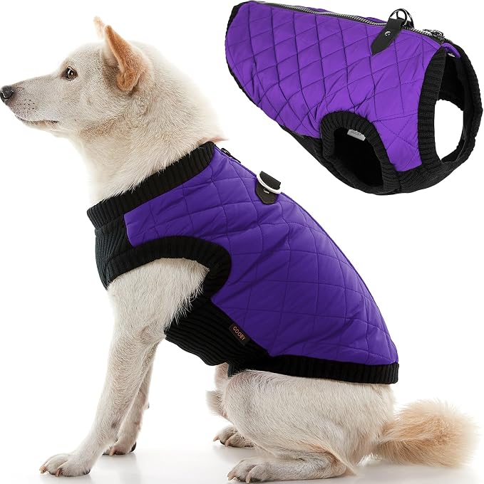 Gooby Fashion Vest Dog Jacket - Violet, X-Large - Warm Zip Up Dog Bomber Vest with Dual D Ring Leash Water Resistant for Small to Medium Dogs
