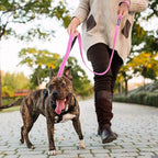 PetiFine 4FT Heavy Duty Dog Leash with Soft Padded Double Handle | Traffic Handle Extra Control,Auto Lock Hook,Reflective Nylon Walking Lead for Large,Medium,Small Breed Dogs
