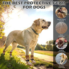 EXPAWLORER Dog Socks for Hot Pavement Summer to Prevent Licking Paws, Anti Slip Doggie Booties Grippy Shoes for Hardwood Floors, Boots & Paw Protectors for Small Medium Large Senior Dogs Khaki S