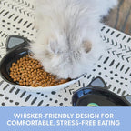 The Cat Ladies Ceramic Cat Bowls - Whisker Friendly Food Bowl - Cute Pet, Kitten Plates - Dishes for Indoor Cats - Dish for Wet Food & Water - Platos para Gatos - Black and White Cat, Small