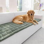 Couch Cover for Dogs Washable, Non-Slip Pet Couch Covers for Sofa, Fuzzy Dog Couch Cover Mat, Thick, Soft, Plush Couch Cushion Covers for Sofa Protector (Green, 23.6" x 47.2"/60 x 120cm)