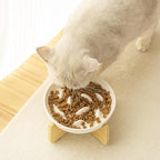 Slow Feeder Bowl for Cats and Small Dogs,Cilkus Fish Pool Design, Fun Interactive Bloat Stop Puzzle Feeder Bowl Healthy Eating Diet Made of Melamine Food Grade Material (White Ceramic-Bamboo Stand)