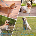 lynxking Long Dog Leash Reflective 15ft 30ft 50ft Check Cord Training Lead Padded Handle Heavy Duty Rope for Puppy Small Medium Large Dogs (Light Blue, 50ft x 3/8inch)