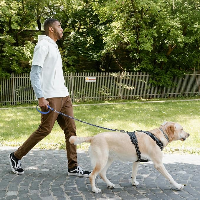 S-ETOVUS-Chain Dog Leash, Bite-Proof Metal Leash, with Padded Handle | Three Sizes 7.25FT/5.2FT/4FT, Woven From Nylon Rope And Chain, Durable And Bite-Resistant, Comfortable With Padded Handles.