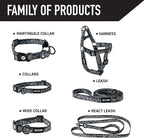 Wolfgang Heavy Duty Dog Leash, Pull-Tested to Over 800 lbs for Walking & Training, WolfMountain Print, Small
