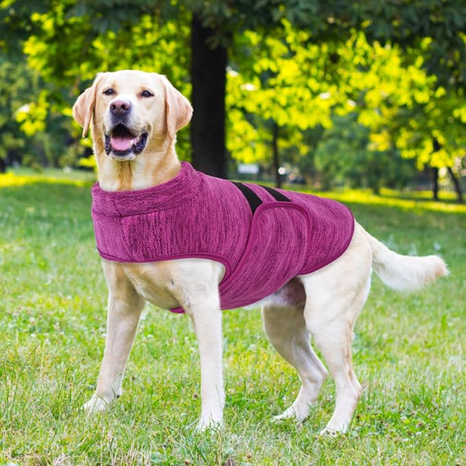 Queenmore XXS Dog Sweaters, Soft Fleece Vest Pullover Dog Jacket with Leash Hole, Warm Winter Dogs Clothes Cold Weather Doggy Dachshund Sweater for Small Dogs Cats Boy or Girl (Cationic Berry, XXS)