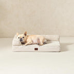 EHEYCIGA Orthopedic Dog Bed Medium Size Dogs, Memory Foam Dog Bed with Washable Removable Cover, Waterproof Pet Sofa Couch for Crate with Nonskid Bottom, 30x20x6 Beige
