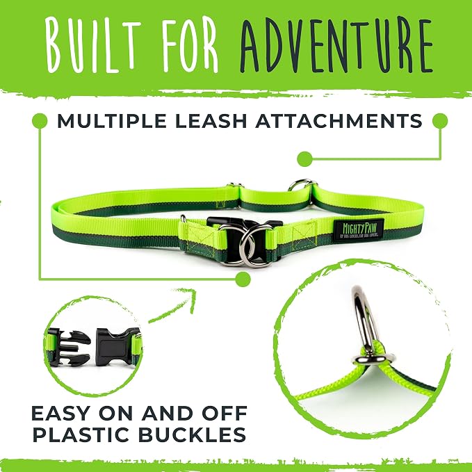 Mighty Paw Hands Free Dog Leash | Bungee Waist Leash for Dog Walking. Pet Running Hands Free Tether for Large, Medium & Small Breeds. Pet Waist Belt (36" - 48") Up to 150 lbs - Green